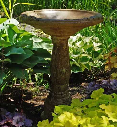 Wide Vine Birdbath